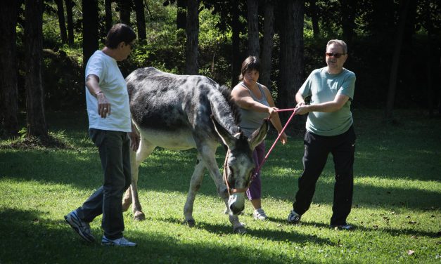 Centro Natura Amica di Gussola, l’Onoterapia