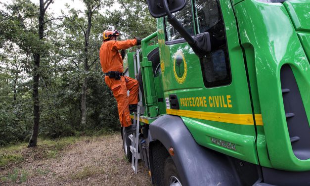 Natura, i paladini del bosco