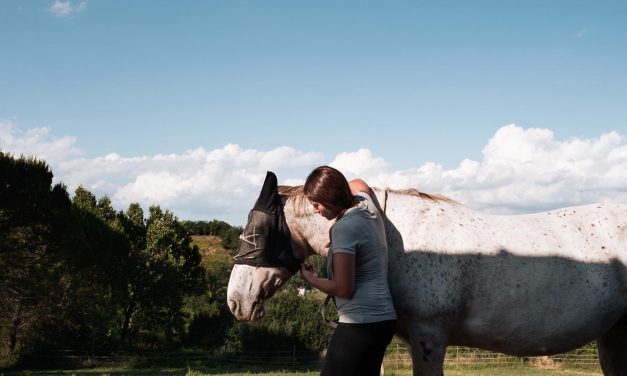 Storie di volontariato toscano