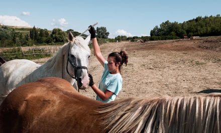 Storie di volontariato toscano