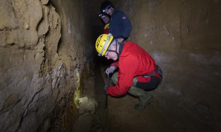 Visite guidate, sopralluogo di un bottino