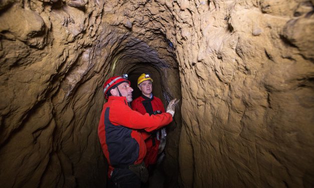 Visite guidate, sopralluogo di un bottino