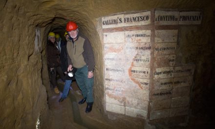 Visite guidate, sopralluogo di un bottino