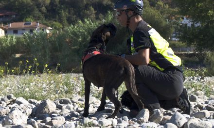 Addestramento unità cinofile