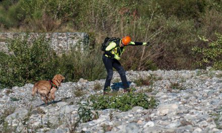 Soccorso cinofilo, h 24 X 365