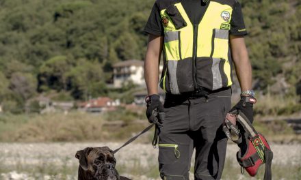 Protezione civile