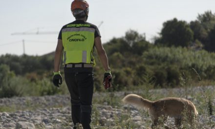 Protezione civile