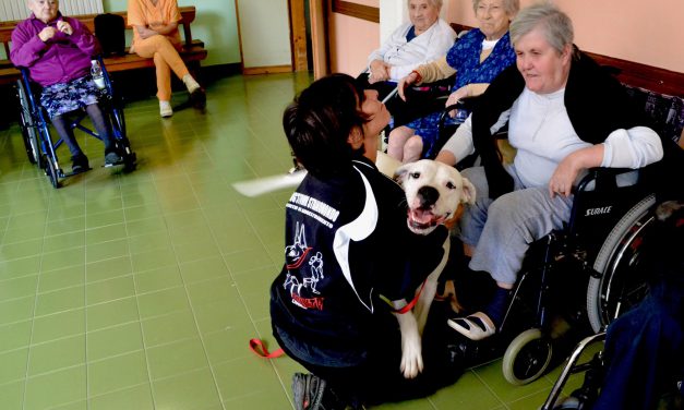 Pet Therapy con anziani