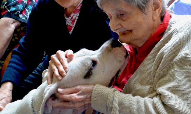 Pet Therapy con anziani