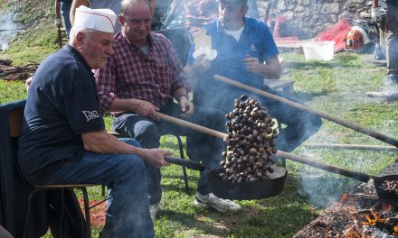 Festa delle castagne a Cascio