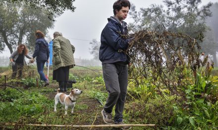 Terapia in orto, il giardino di Filippo