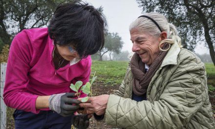 Terapia in orto, il giardino di Filippo