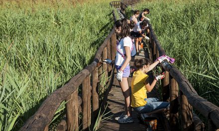 Ambiente, meravigliosi ragazzi