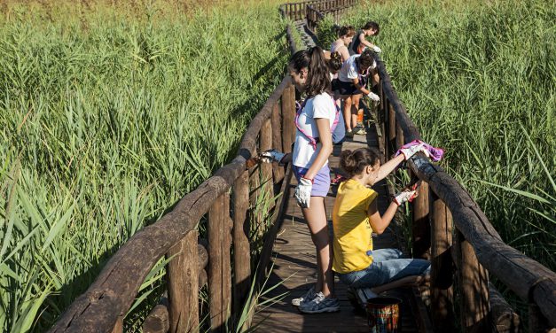 Ambiente, meravigliosi ragazzi