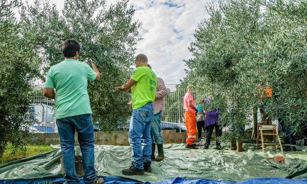 Fattoria sociale Albeschida