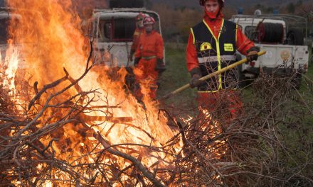 Gruppo avvistamento incendi boschivi