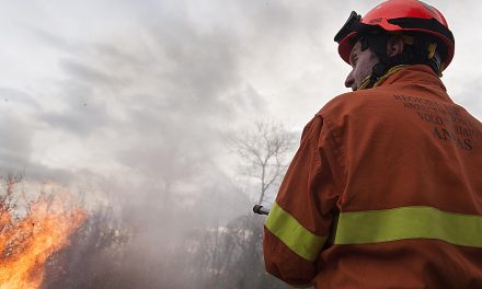 Gruppo avvistamento incendi boschivi