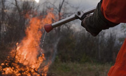 Gruppo avvistamento incendi boschivi