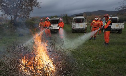 Gruppo avvistamento incendi boschivi