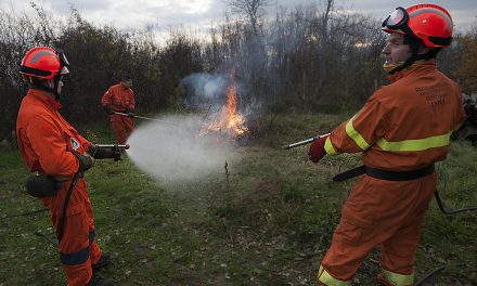 Gruppo avvistamento incendi boschivi