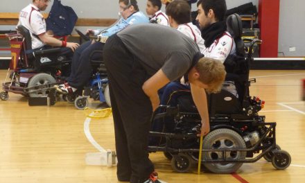 Assistenza disabili, wheelchair hokey ranger antal pallavicini