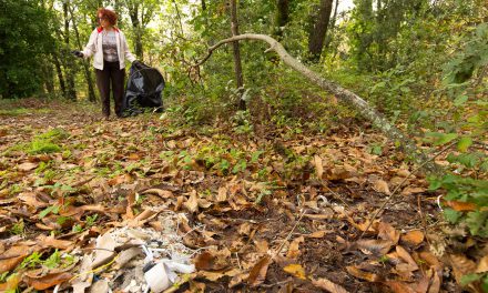 Salvaguardia boschi, meglio parco che sporco