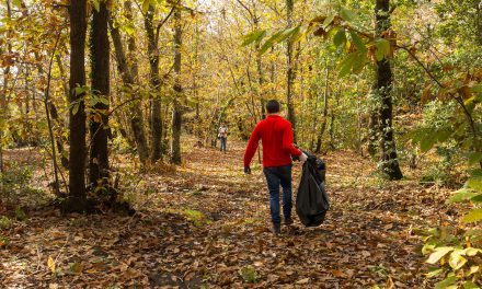 Salvaguardia boschi, meglio parco che sporco