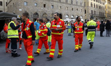 Volontari per l’accoglienza di Papa Francesco