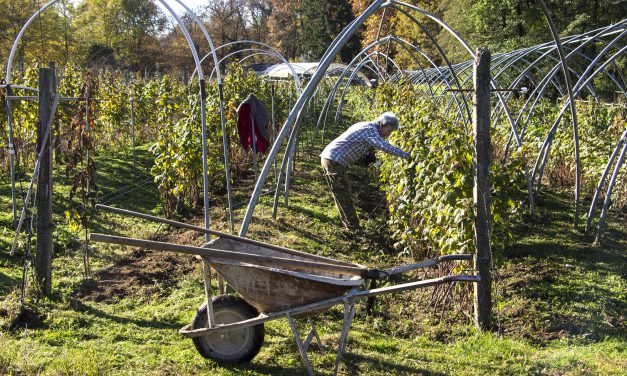 Azienda agricola della Comunità terapeutica  di  Montrigiasco