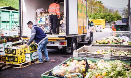 Raccolta alimenti, dallo spreco alla risorsa