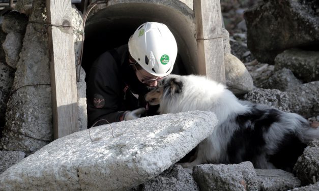 Nucleo soccorso cinofilo di Belluno