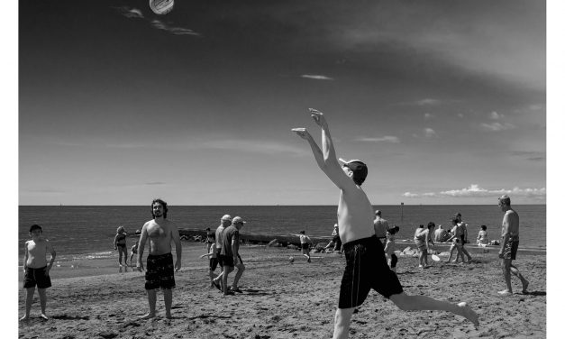 Gita in spiaggia, l’amore incondizionato