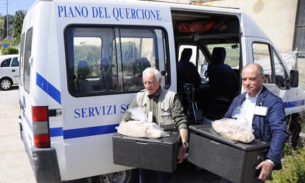 Raccolta alimenti, cibo donato