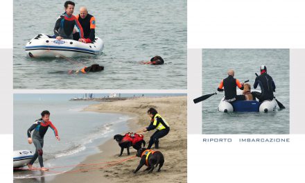 Addestramento unità cinofile in acqua