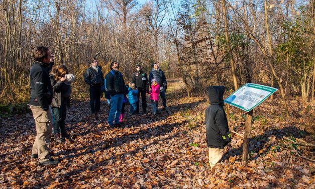 Volontari WWF, volontari per natura