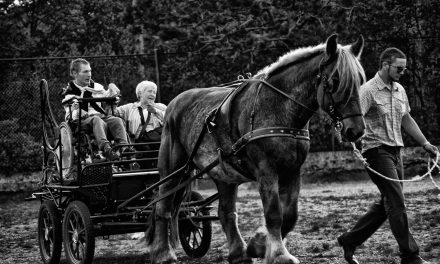 Assistenza disabili, si può