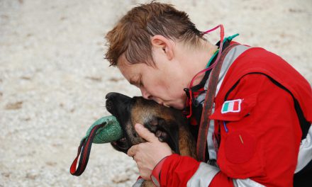 Addestramento unità cinofile Croce Rossa