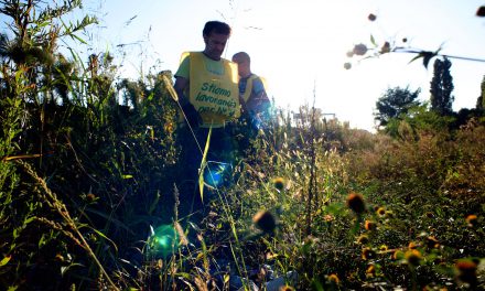 Volontariato ambientale, puliamo il mondo