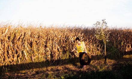 Volontariato ambientale, puliamo il mondo