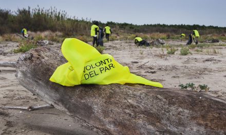 Giornata nazionale per la pulizia delle spiagge