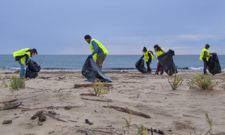 Giornata nazionale per la pulizia delle spiagge