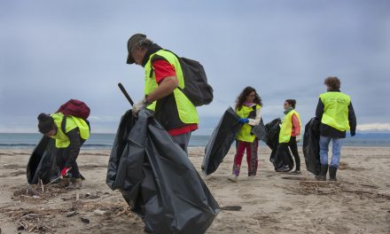 Giornata nazionale per la pulizia delle spiagge