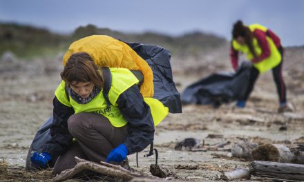 Giornata nazionale per la pulizia delle spiagge