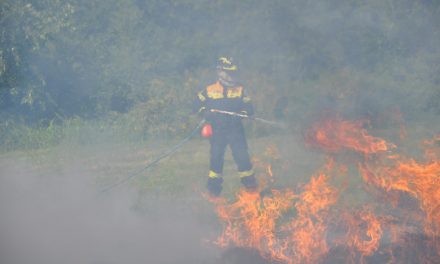 Intervento sull’incendio boschivo, una giornata infuocata