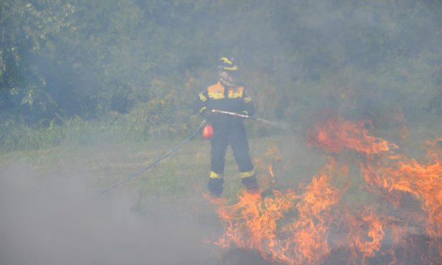 Intervento sull’incendio boschivo, una giornata infuocata