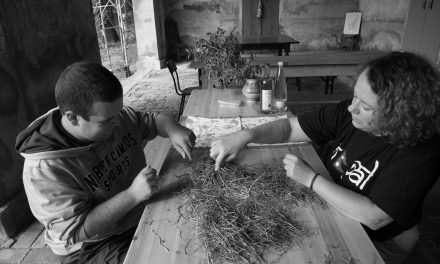 Progetto di fattoria sociale