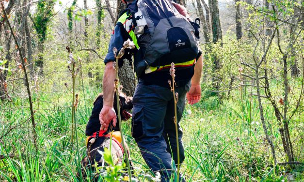 Protezione civile, unità cinofile