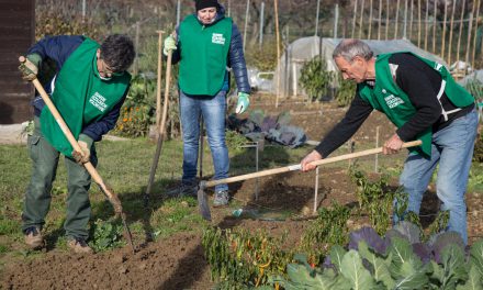 Guardie Ecologiche Volontarie, GEV