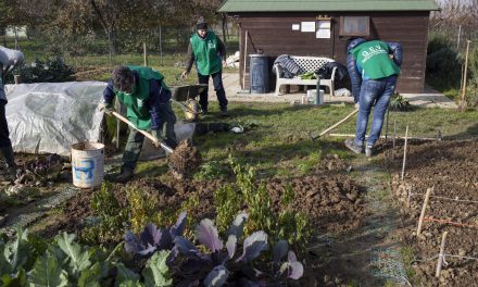 Guardie Ecologiche Volontarie, GEV