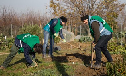 Guardie Ecologiche Volontarie, GEV